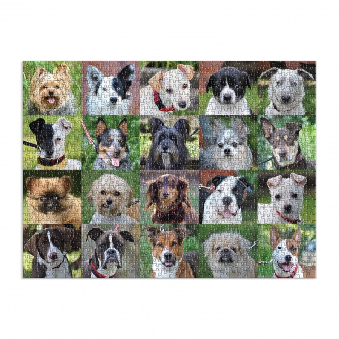Puzzle Galison Cani dal Rifugio 1000 Pezzi