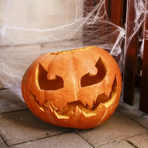 Ragnatela Finta Halloween con 2 Ragni