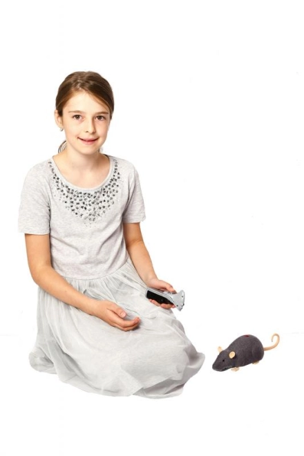 Divertimento per bambini