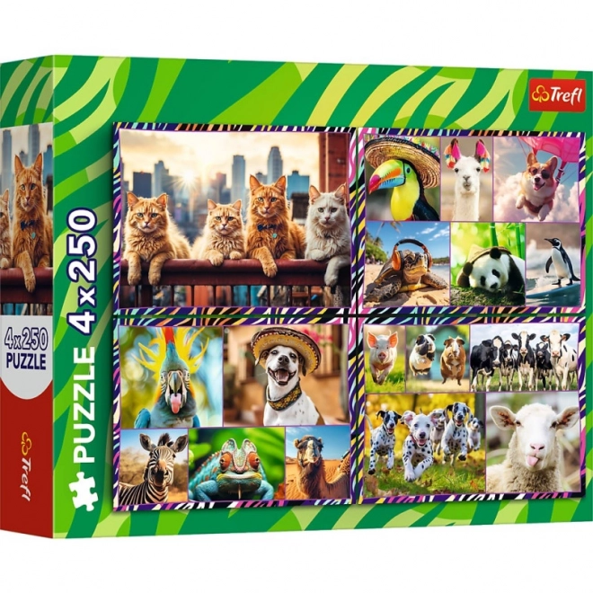 Puzzle Divertenti Animali 4x250 Pezzi