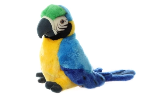 Pappagallo di peluche burattino 27 cm