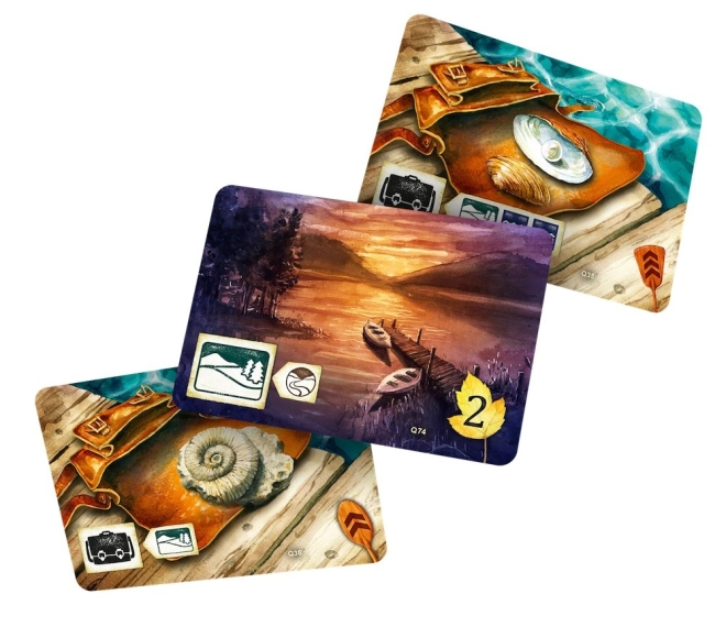 Set di carte ricco