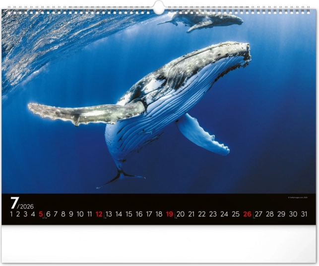Calendario da parete Mondo sottomarino 2026