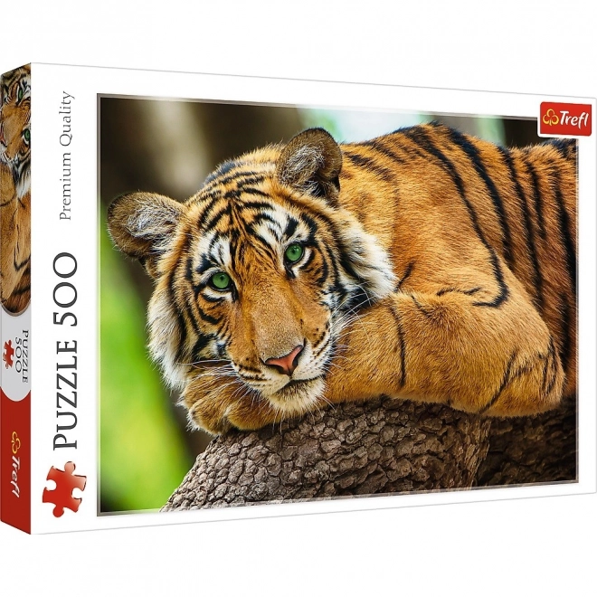 Puzzle 500 pezzi Ritratto di Tigre