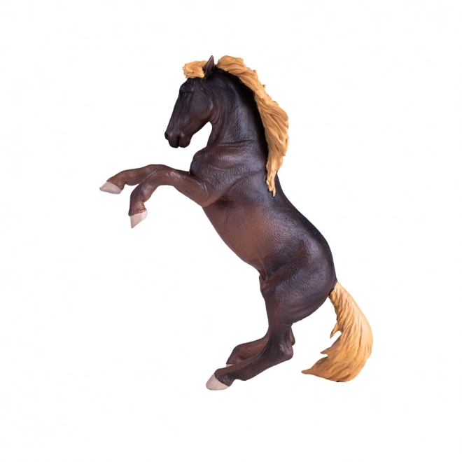 Mojo Stallo Brumby