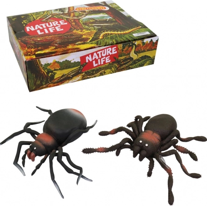 Divertenti Ragni di Gomma in Display Box