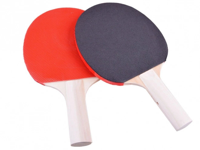 Set da ping pong portatile