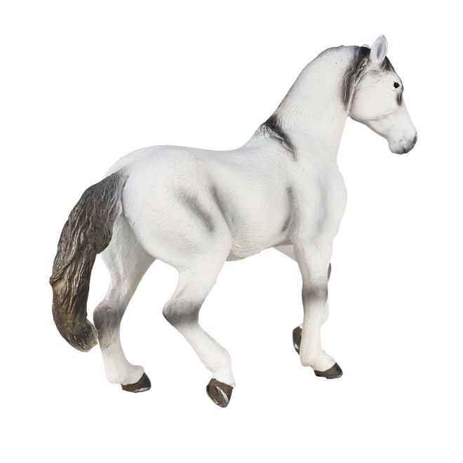 Mojo cavallo andaluso grigio