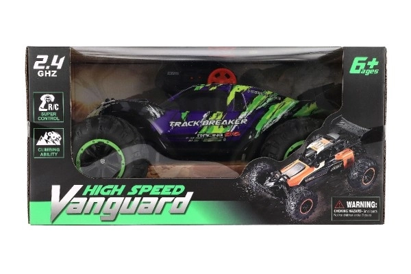 Auto Rc Buggy Veloce 2,4 GHz Plastico 40cm Ricaricabile Viola