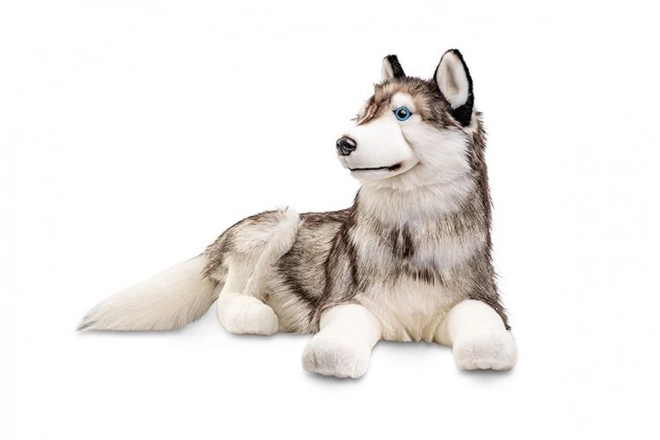 Peluches husky gigante