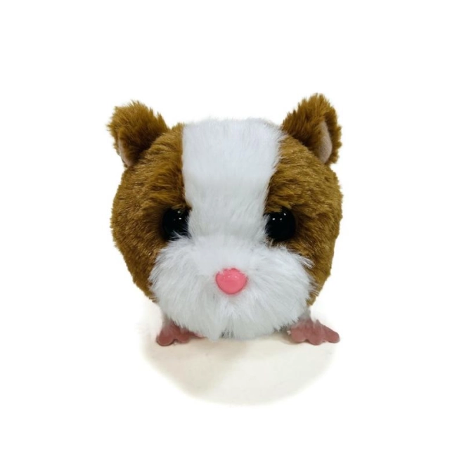 Suoni adorabili