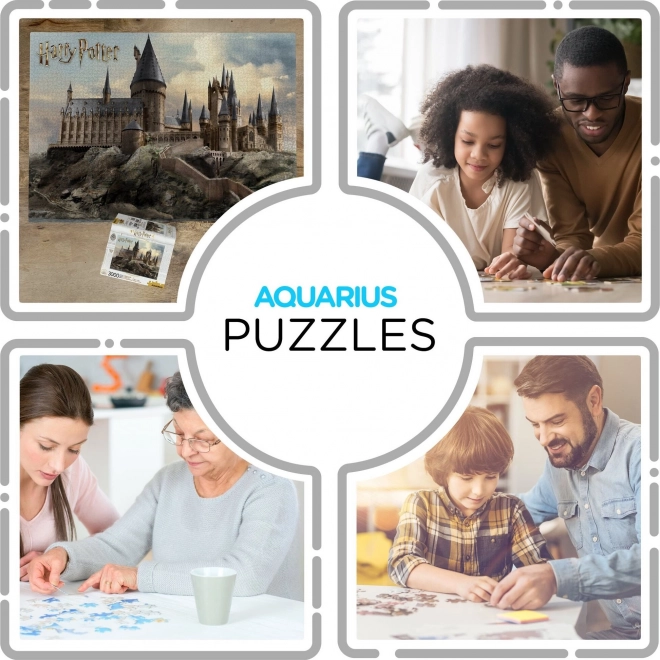 AQUARIUS Puzzle Harry Potter: Hogwarts 3000 pezzi