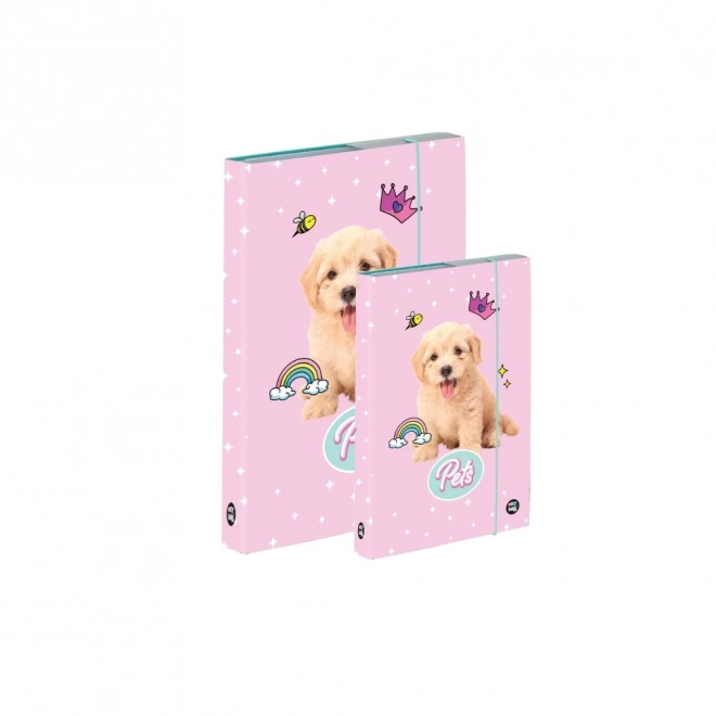 Set scatole per quaderni A4 e A5 Animali domestici