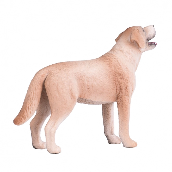 Figura realistica Labrador di Mojo