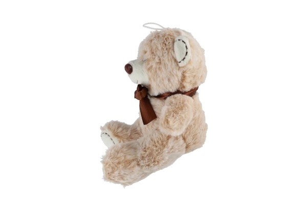 Orsacchiotto di peluche con fiocco