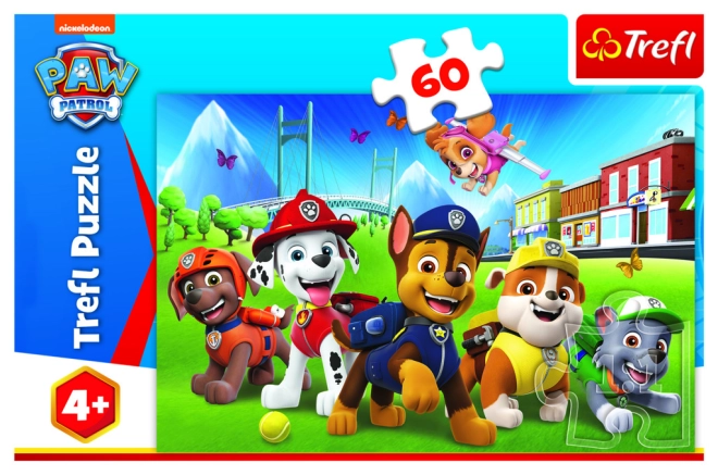 Tema PAW Patrol molto amato