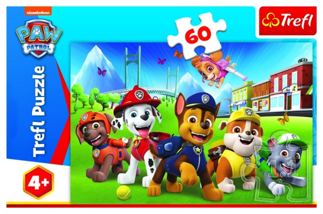 Puzzle 60 pezzi nella radura Paw Patrol