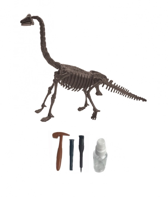 Set archeologico – Brachiosaurus