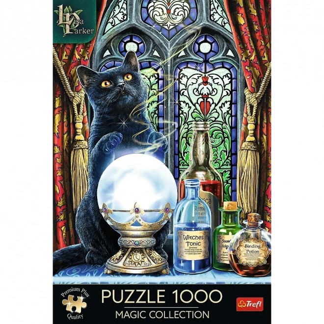 Puzzle 1000 pezzi Premium Allievo della strega Lisa Parker