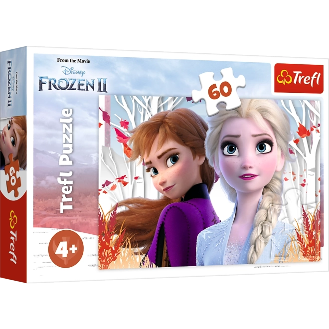 Puzzle 60 Pezzi Kraina Lodu 2 Enchanted World di Anna ed Elsa