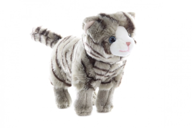 Gatto di peluche sonoro ecologico