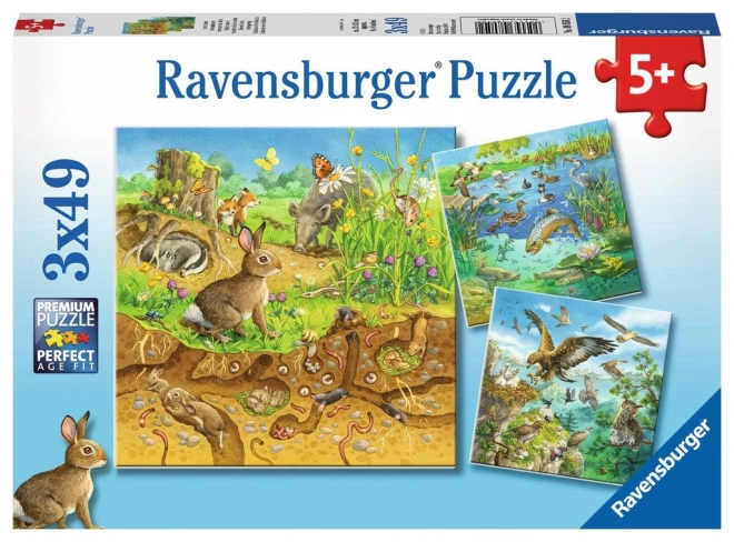 Ravensburger puzzle Animali nelle loro case 3x49 pezzi