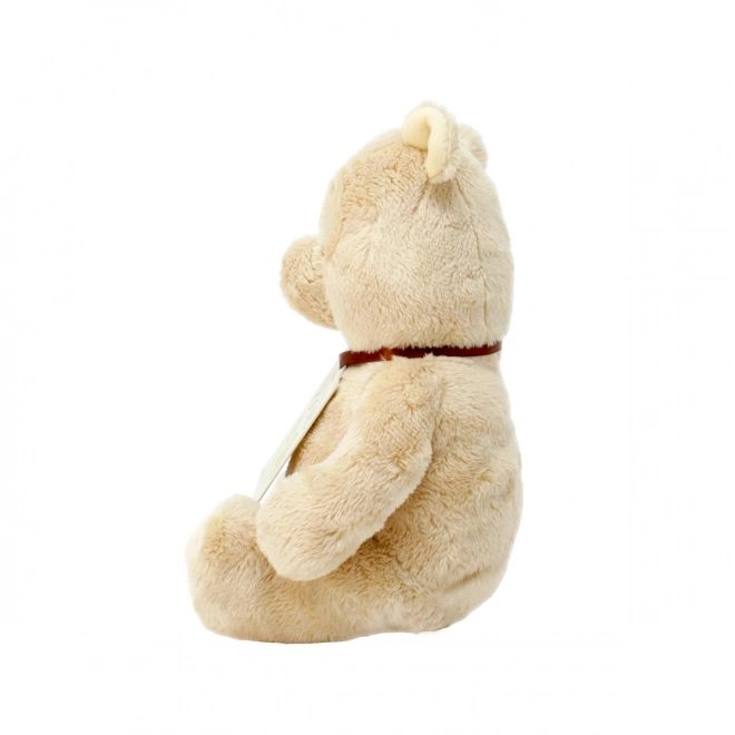 Peluche di Winnie the Pooh Arcobaleno