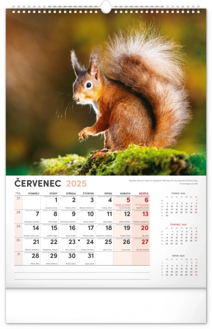 Calendario da parete 2025 cacciatore e natura ceca