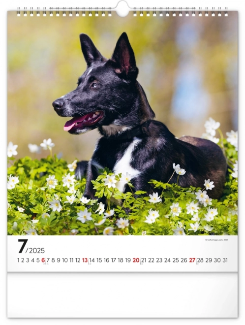 Calendario da muro cani 2025