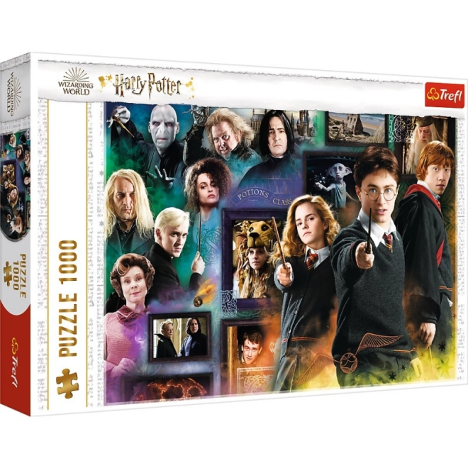 Collage dettagliato dei personaggi di HARRY POTTER