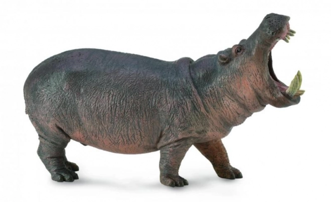 Hippopotamus di Collecta