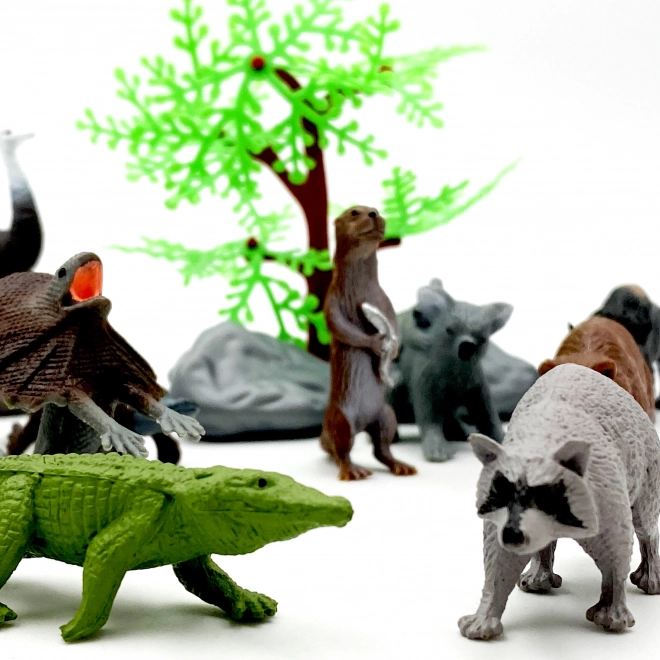 Set animali selvatici Woopie