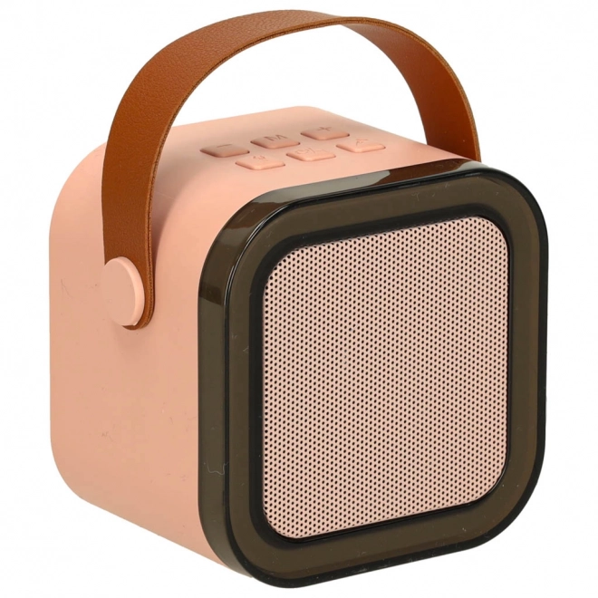 Set Karaoke con Microfono e Altoparlante Portatile Bluetooth USB LED Rosa