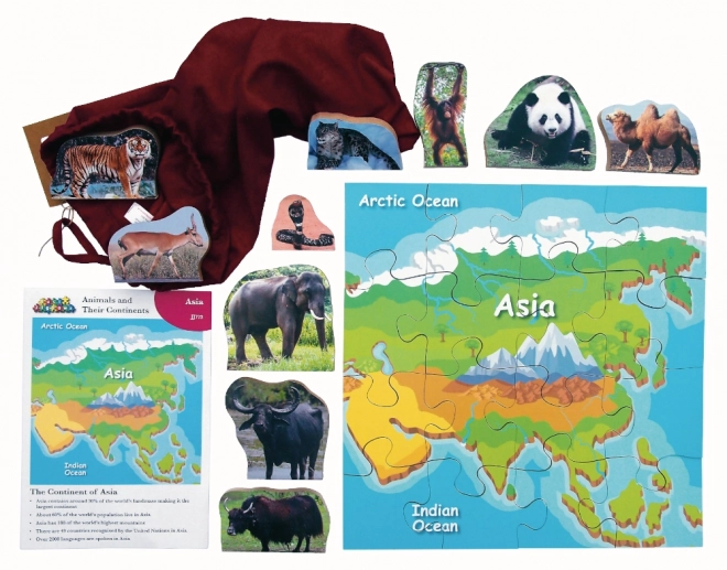 Puzzle in legno Asia e i suoi animali