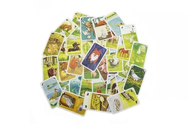 Gioco di carte animali Černý Petr