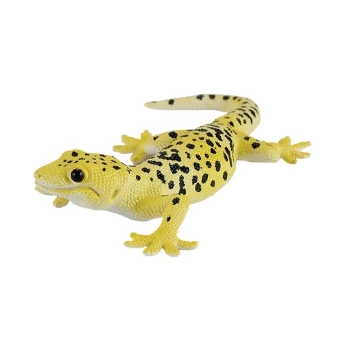 Geko Leopardo Notturno Mojo