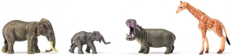 Safari espandibile con specie piccole e grandi