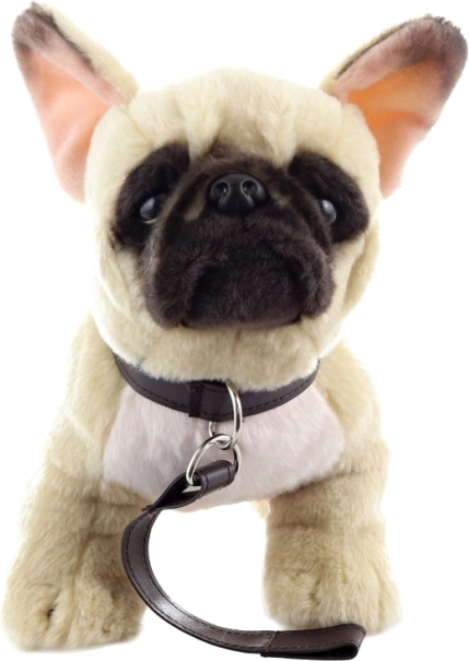 Bulldog Francese di Peluche con Guinzaglio 26 cm Eco-compatibile