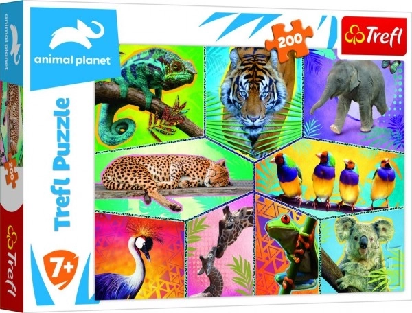 Puzzle TREFL Animal Planet: Il mondo degli animali esotici 200 pezzi