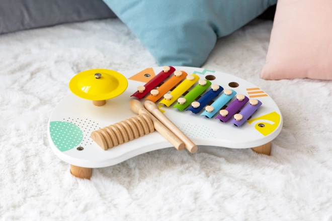 Tavolo musicale giocattolo con piatti ECOTOYS