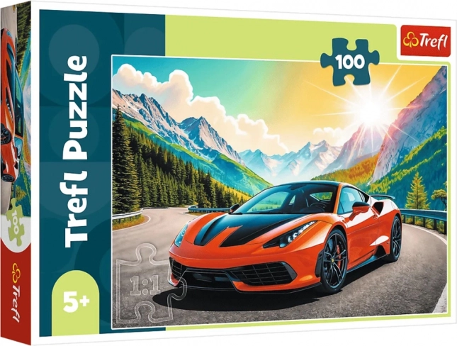 Puzzle 100 pezzi – gara contro il tempo Trefl