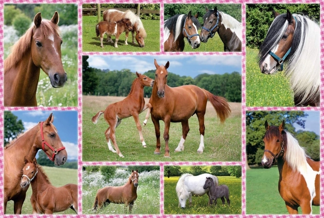 Puzzle Cavalli Magnifici 150 pezzi
