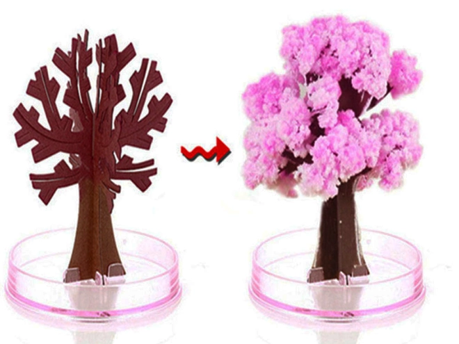 Magia di fioritura istantanea