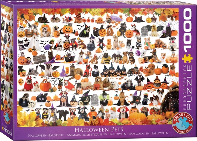 Puzzle Eurographics Animali di Halloween 1000 Pezzi