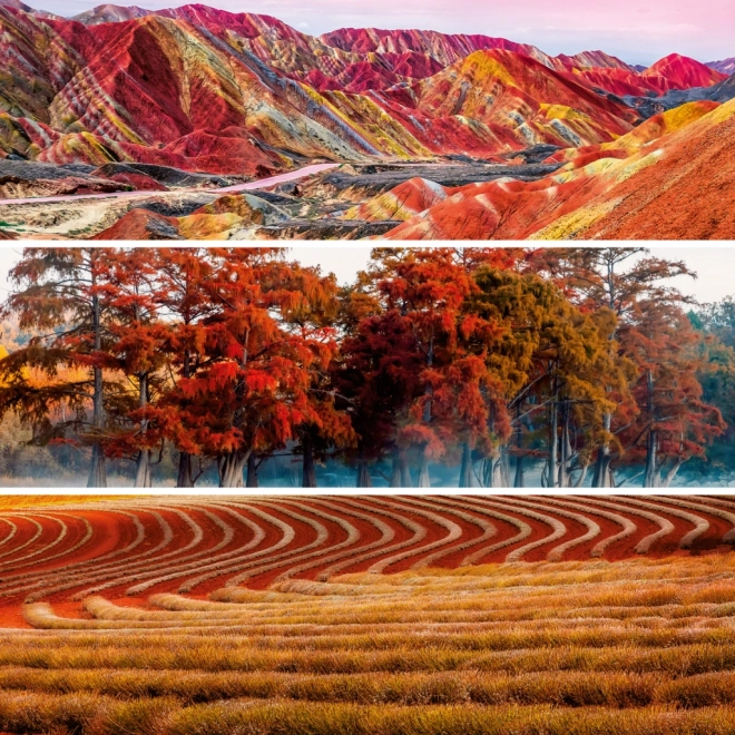 Calendario delle Note Palette 2026