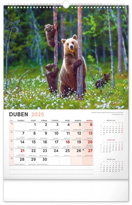 Calendario da parete 2025 cacciatore e natura ceca