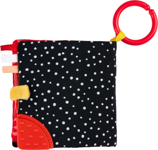 Massaggiagengive ed elementi fruscianti per l’esplorazione sensoriale