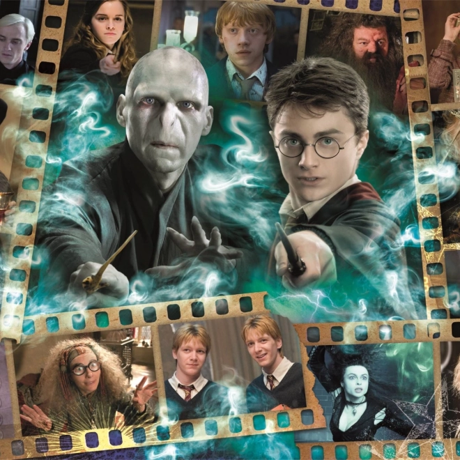Puzzle Harry Potter: Personaggi preferiti 1000 pezzi