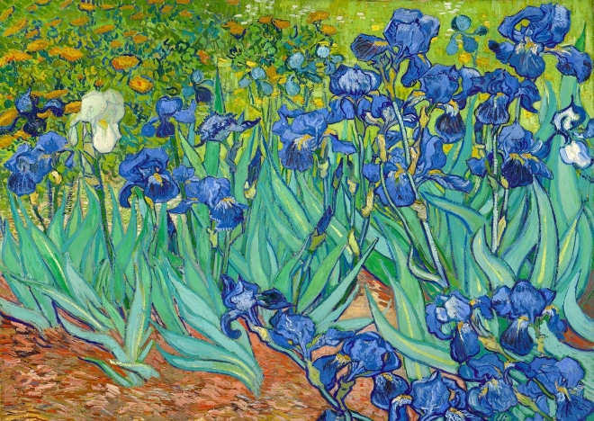 Puzzle Vincent Van Gogh: Iris 1000 pezzi