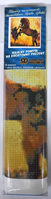 Paint by Diamonds Domare il cavallo 30x40 cm